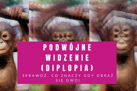 Małpka z potrójnymi oczami, jakby cierpiała na astygmatyzm i podwójne widzenie. Sprawdź, co to znaczy, gdy obraz się dwoi.