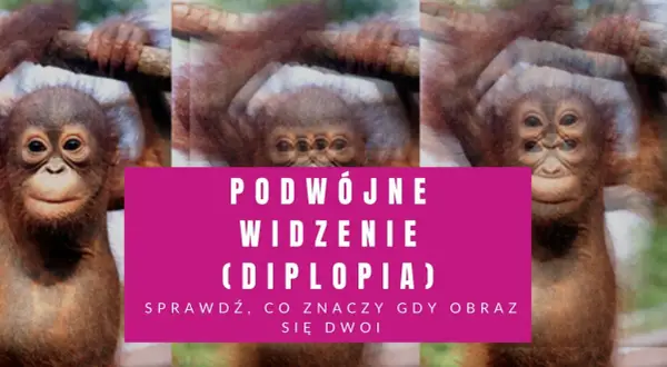 Małpka z potrójnymi oczami, jakby cierpiała na astygmatyzm i podwójne widzenie. Sprawdź, co to znaczy, gdy obraz się dwoi.