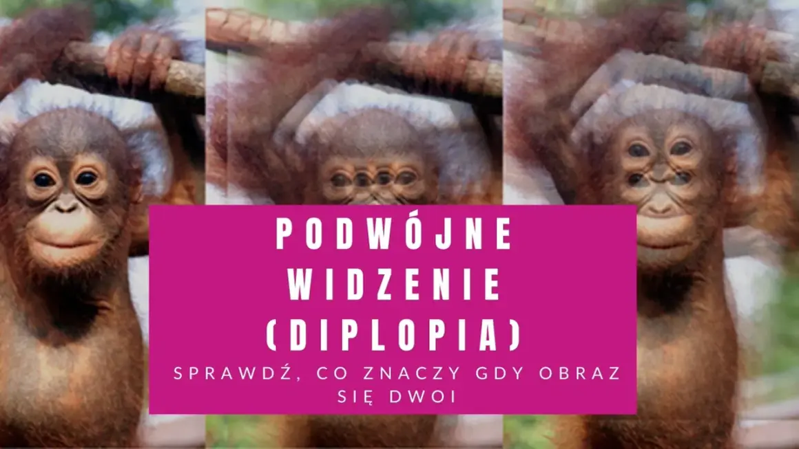 Małpka z potrójnymi oczami, jakby cierpiała na astygmatyzm i podwójne widzenie. Sprawdź, co to znaczy, gdy obraz się dwoi.
