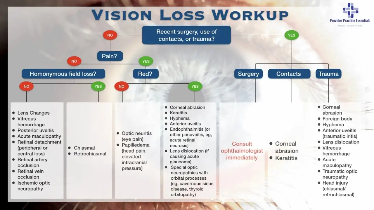 Schemat diagnostyczny utraty wzroku. Zawężenie pola widzenia może wskazywać na różne schorzenia, od zmian w soczewce po urazy.